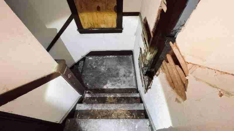 4519267_0041 (2).jpg